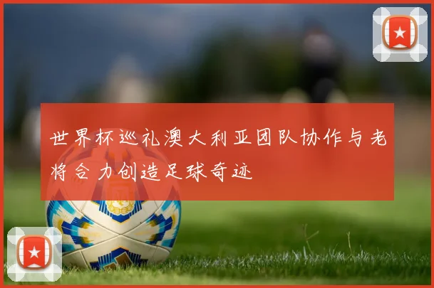 世界杯巡礼澳大利亚团队协作与老将合力创造足球奇迹